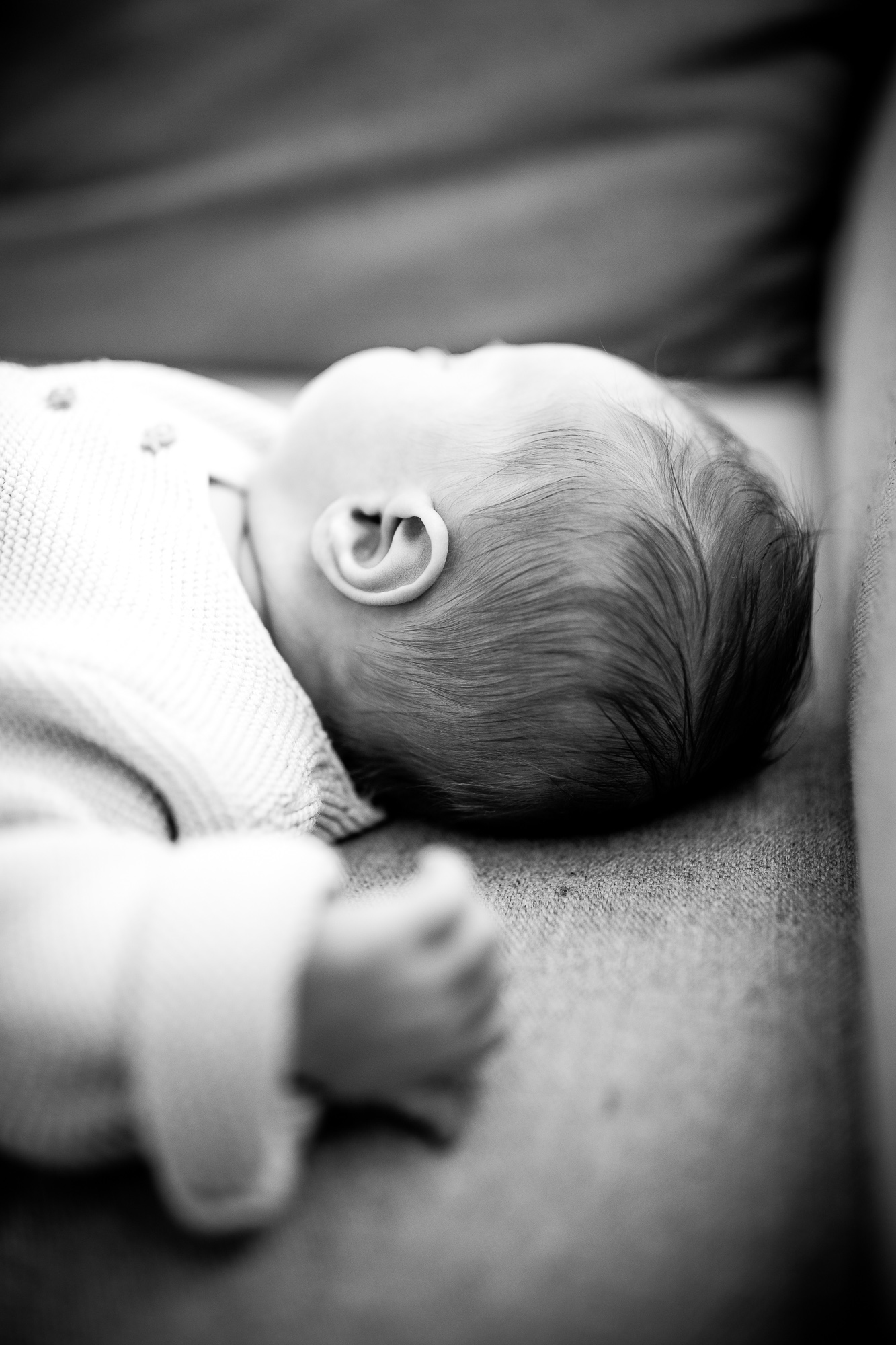 Export x3 5D4 6775 Familienfotoshooting 2019 Hefti